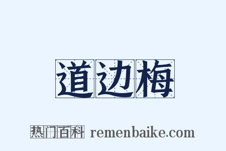 道边梅是什么意思的图片